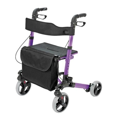 501-5012-1110 Briggs Healthcare Eurostyle Rollator, Purple EA 300 Lbs, Brown Box Questions & Answers